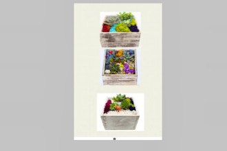 All Ages Plant Nite: White Square Wooden Box